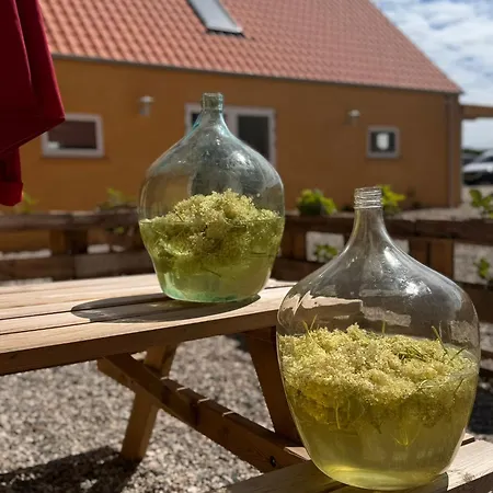 Fantastic - Asta アパートホテル エーベルトフト