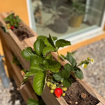 Fantastic - Asta アパートホテル